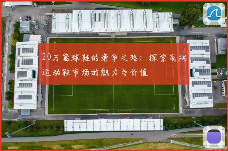 20万篮球鞋的奢华之路：探索高端运动鞋市场的魅力与价值