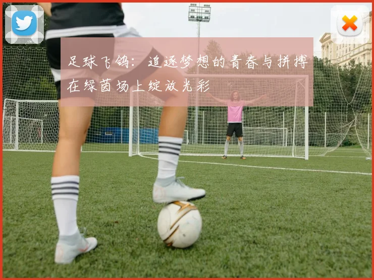 足球飞鸽：追逐梦想的青春与拼搏在绿茵场上绽放光彩