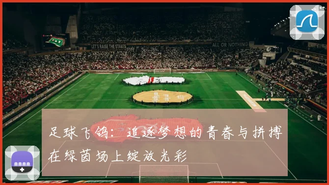 足球飞鸽：追逐梦想的青春与拼搏在绿茵场上绽放光彩